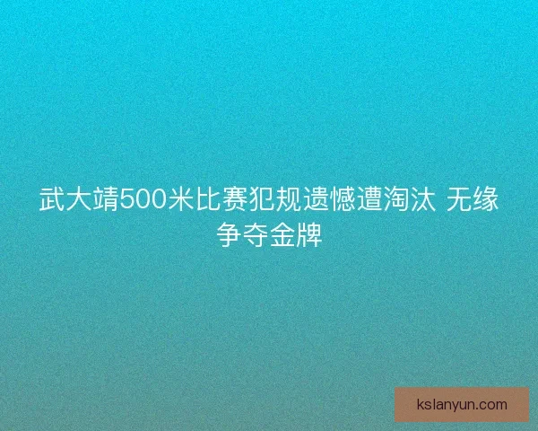 武大靖500米比赛犯规遗憾遭淘汰 无缘争夺金牌